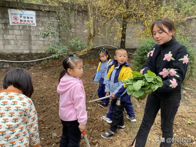 快乐种植，收获幸福｜独山县影山幼儿园开展种植活动