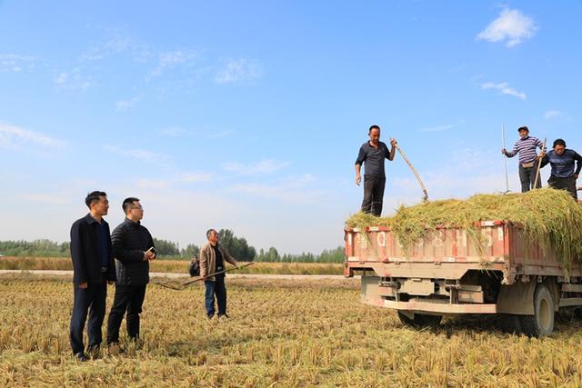 科技人才奔沂蒙：现代化农业的星辰大海