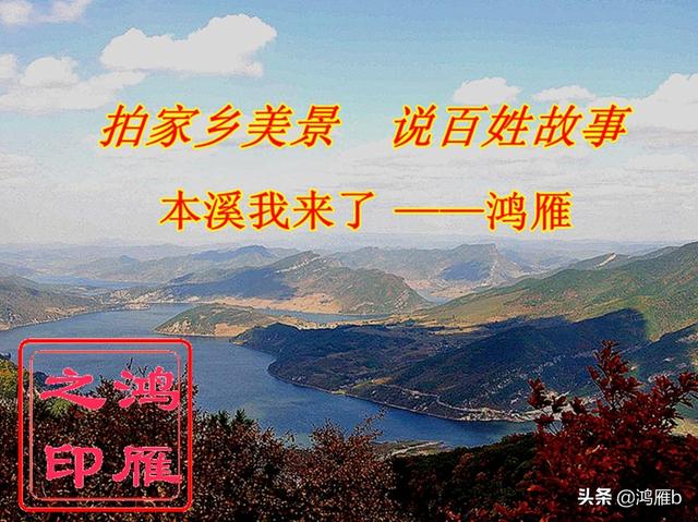 本溪铁刹山偶遇一只小白狐狸一点不怕人咬住我的相机不放