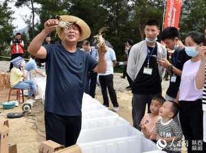 陕西哪里有养殖小龙虾(秦巴山区养出“富硒”大闸蟹)