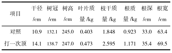 湖南省郴州市辣木引种表现及高效栽培技术