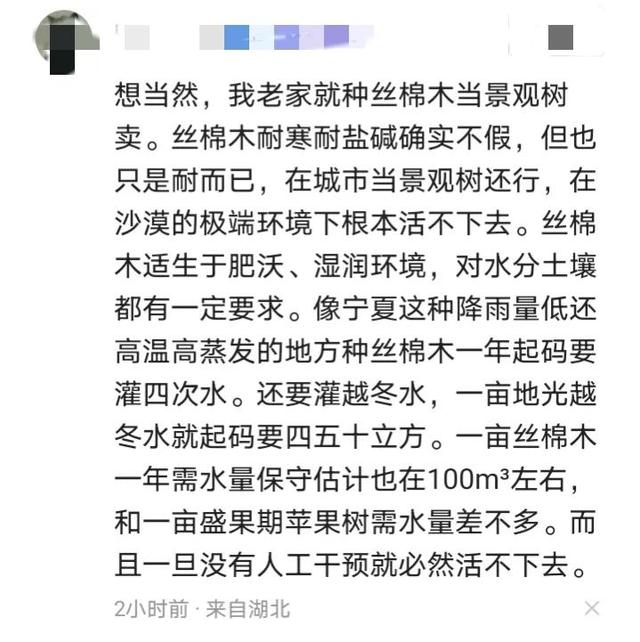 孙国友林场种植丝棉木的原因找到了，既能良性种植又产生经济价值