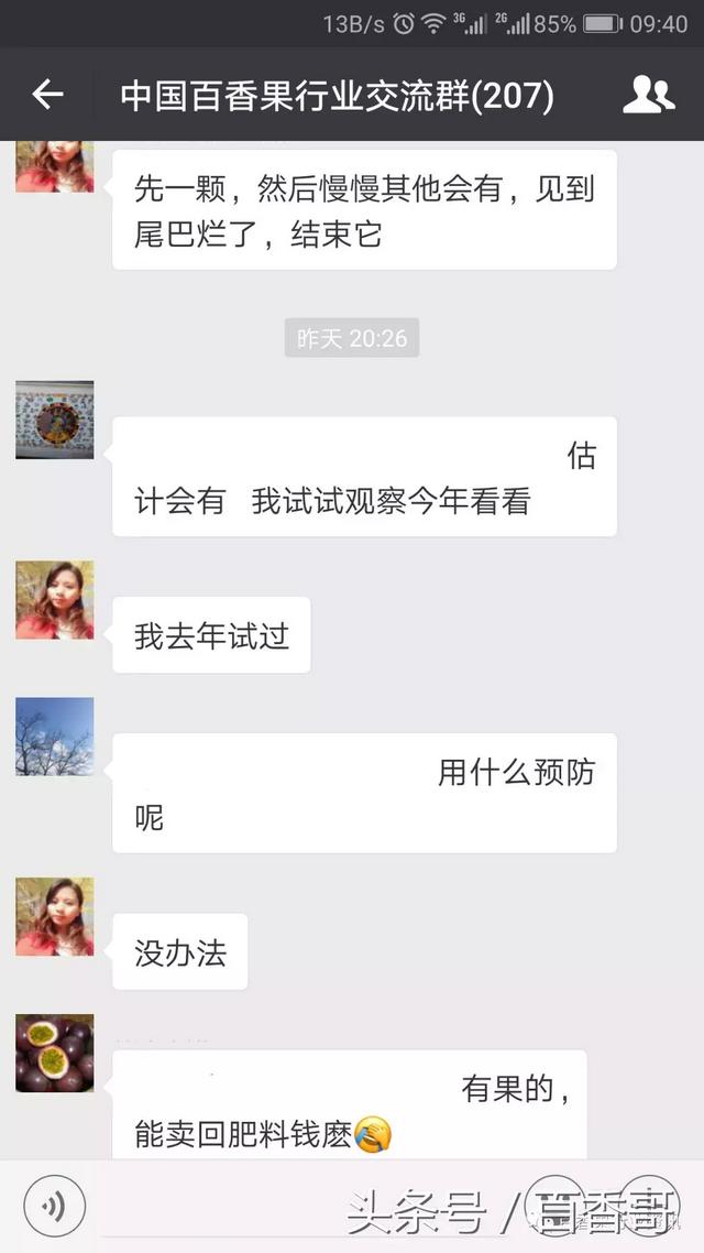 百香果叶片发现疑是病毒，如何处理？