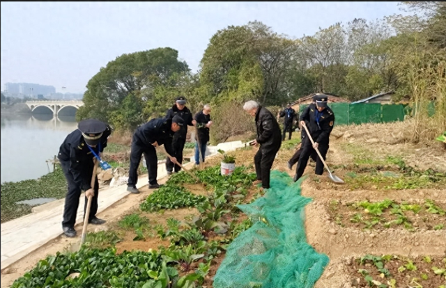 禁止种菜后，农村又要拆掉院墙？多地已开始落实，啥情况？