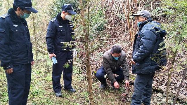 武义从严从重从快查处野生动物违法行为