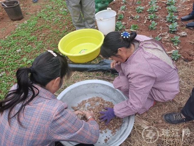 省供销合作社驻村工作队：强化羊肚菌种植技术培训 助力乡村产业振兴