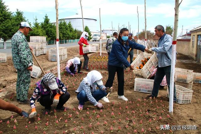 榆树市弓棚镇十三号村的农民朱亚波敢想敢试，让致富之路开满鲜花