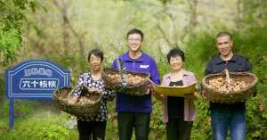 核桃种植环境要求(不止于美味，六个核桃里还藏着“硬核”科技)