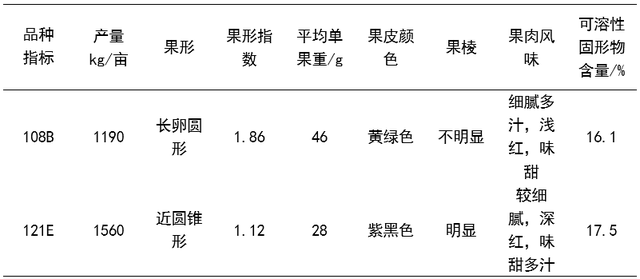 两个无花果品种在北京地区日光温室的引种表现