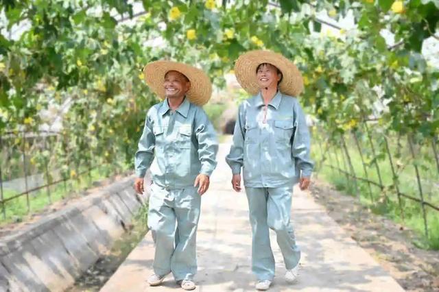 采摘、垂钓、赏景……来宝山这里，享受夏日的果香滋味~