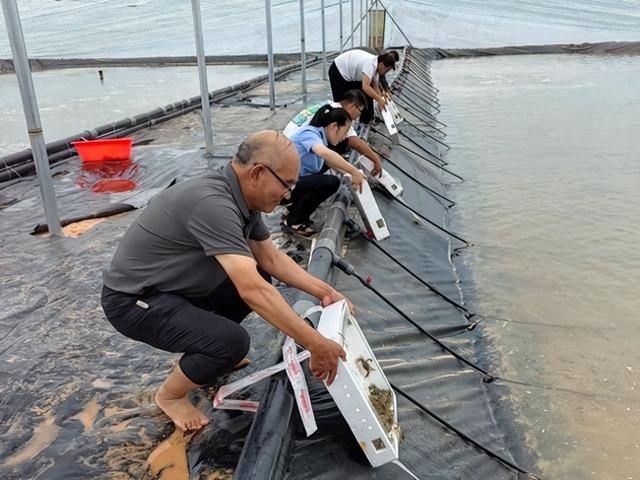 新疆人工海产养殖试点成功，沙漠长出深海大虾，让日本猝不及防