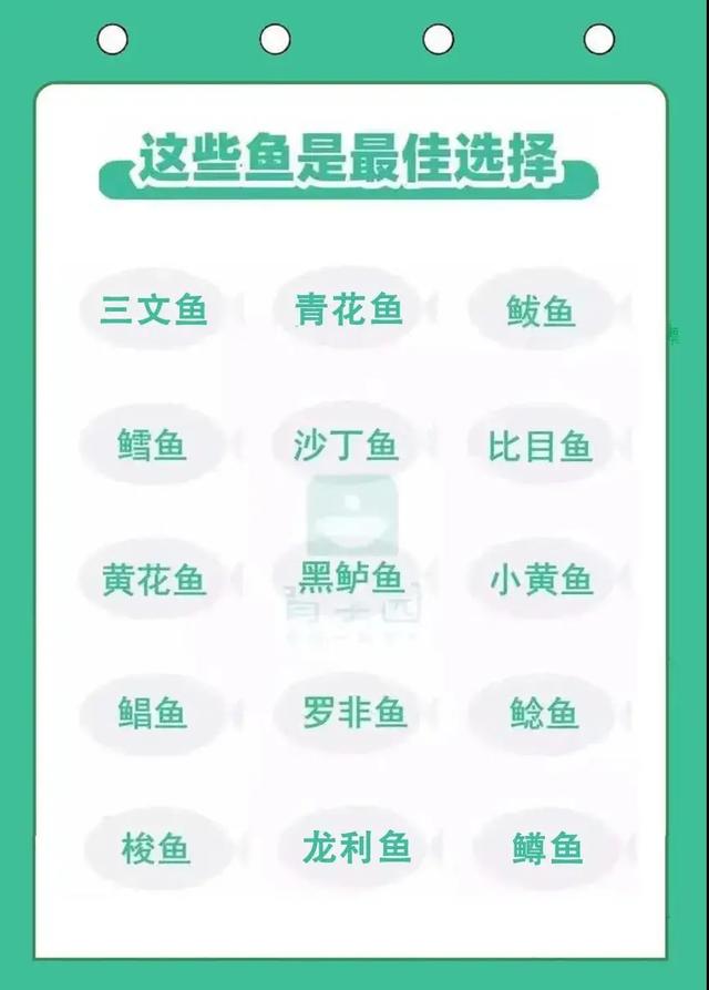 有激素！这种巴沙鱼测出激素药物残留，还被追捧当宝宝辅食