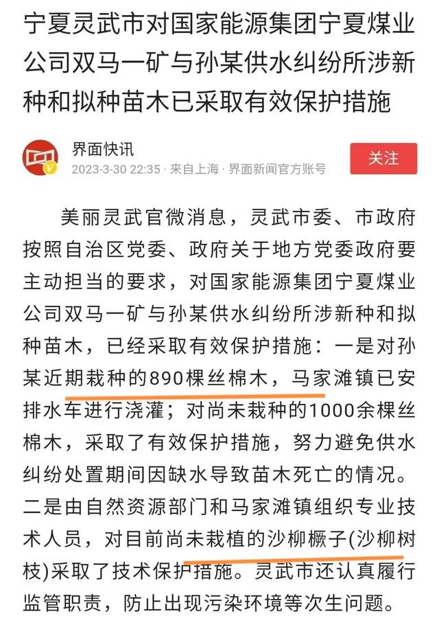 孙国友林场种植丝棉木的原因找到了，既能良性种植又产生经济价值