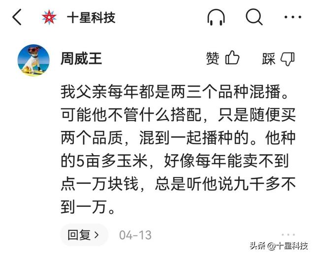 啥叫好的夏玉米？4000株密度，只用半袋尿素，可以随便对比