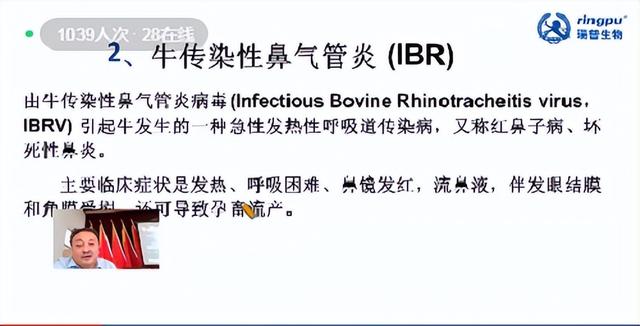 市农科院畜牧所与尤古庄镇共同举办肉牛养殖技术培训班暨肉牛养殖发展研讨会