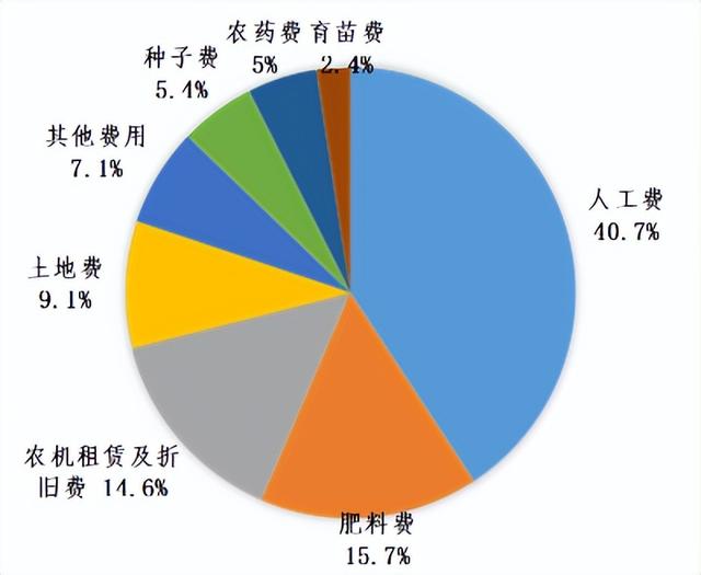 山东85后女孩剑走偏锋，种菜年入500万，种的啥？这么有“钱景”