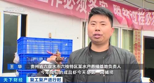 您的“麻小”正在配送！贵州六盘水：小龙虾开捕，抢“鲜”上市