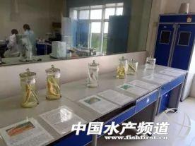 中国首家对虾加工上市企业——湛江国联省级对虾良种场