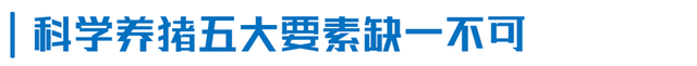 扬翔位于广州的楼房猪场预计2023年投产，可实现年出栏35万头生猪