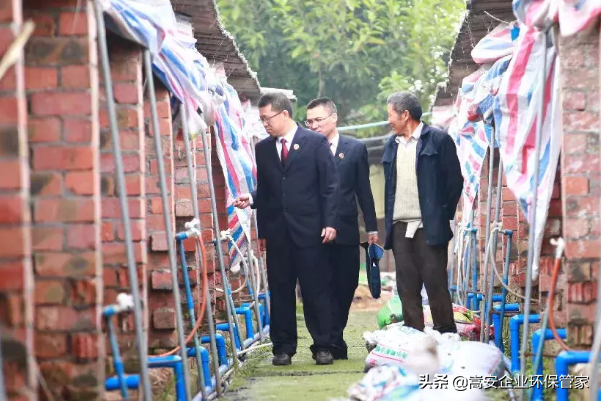 养殖场除臭的四大方法，哪个最有效？