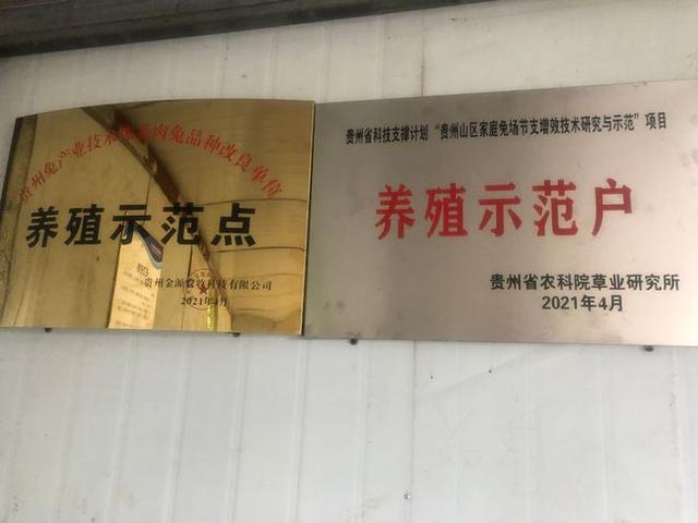 遵义这个兔子养殖基地，等你来一起当兔子大王