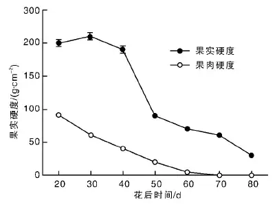 「每日一技」如何把葡萄种得硬一点？你知道什么意思吗？