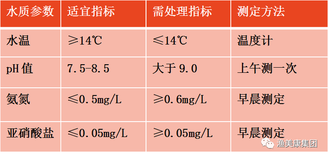 干货！泥鳅孵花，老师傅传授全套高效培育方法和流程！