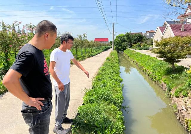 水面下的隐忧：多地已启动外来入侵水生动物普查