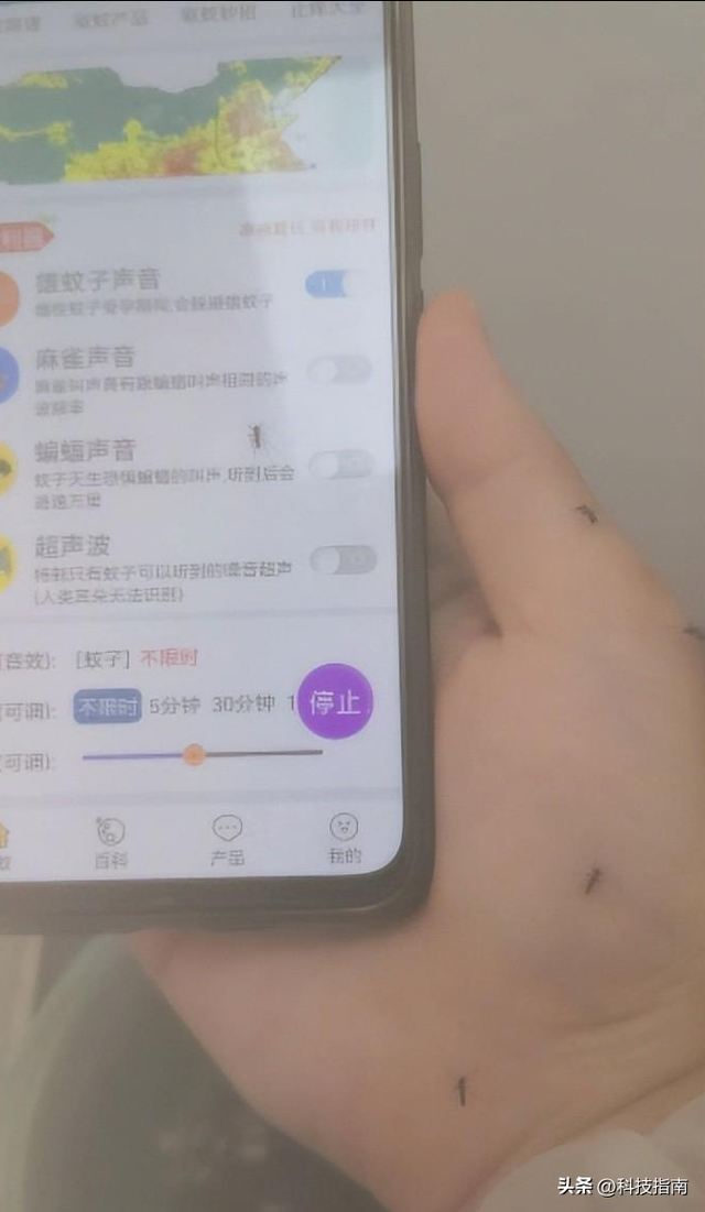 几百只蚊子测试：驱蚊液有效，驱蚊APP、贴、手环等全拉胯