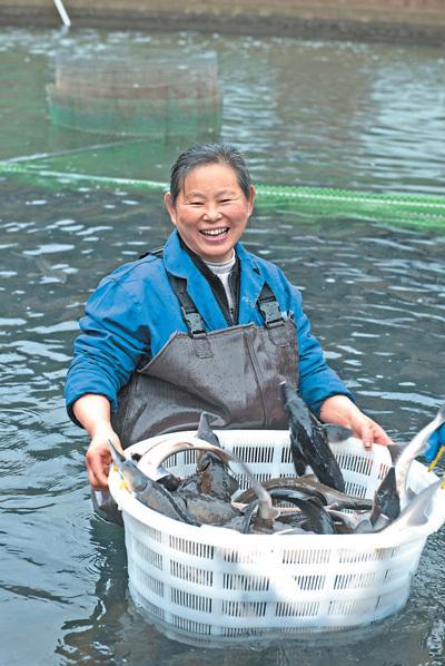 建设宜居宜业和美乡村