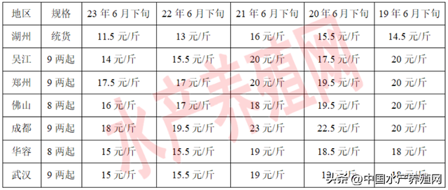 诡异！8月就跌价，大网红鲈鱼会崩盘吗？流通商：接下来还要跌！