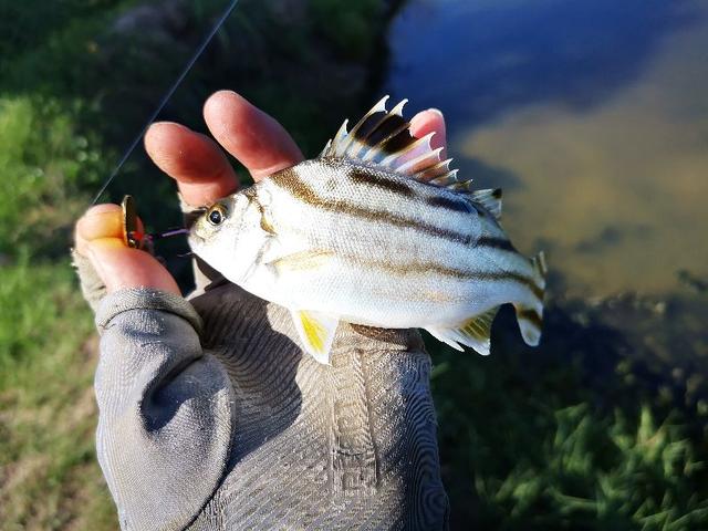 一位生物老师对钓鱼的热爱