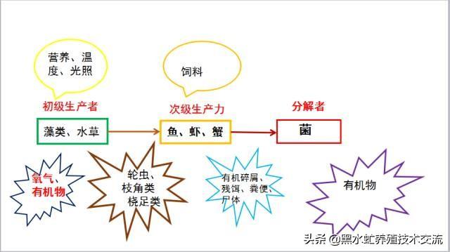 茶话谈：水产养殖中藻类的定向培养方法