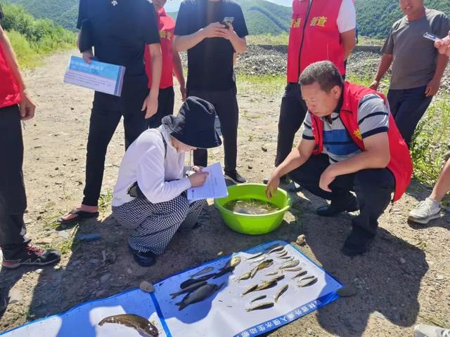 水面下的隐忧：多地已启动外来入侵水生动物普查