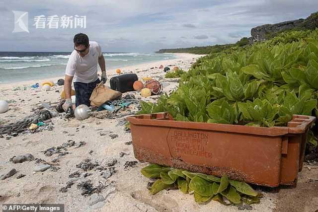 寄居蟹利用废弃的塑料当新家 全球超50万只寄居蟹因此丧命