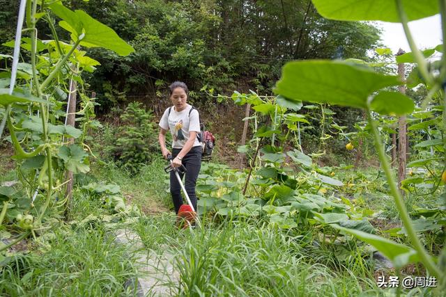 “隐居”深山，耐得住寂寞，受得了艰辛，这个漂亮的女人不简单