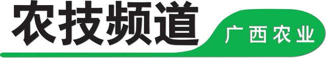 这份关于养殖兔子的常见误区和注意事项，看完就可以避开了