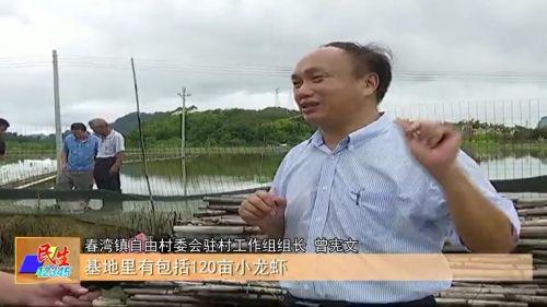 春湾自由村：小龙虾养殖带动村民脱真贫