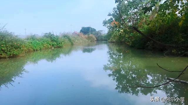 生态花园紫泥红树林，厦门周末抓鱼一日游