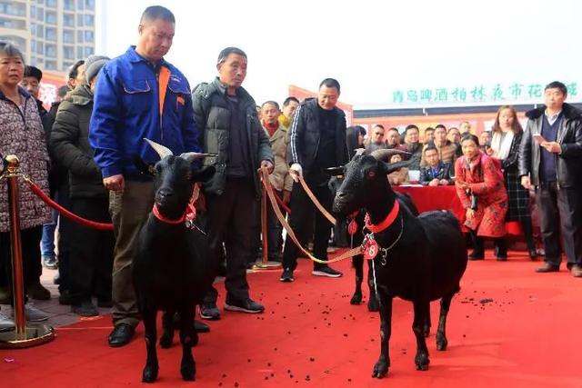 区县文旅精品荟丨美石美刻都精彩 大丰大足等你来