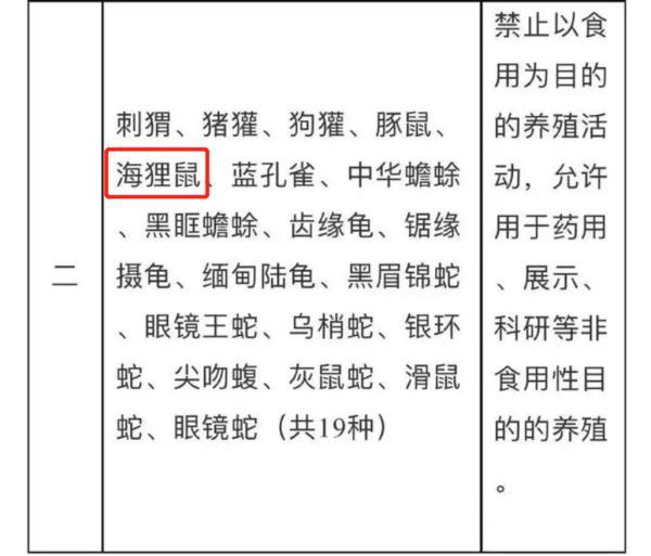 多地发现一外来物种：黑灰色，块头比老鼠大几倍……还会打洞