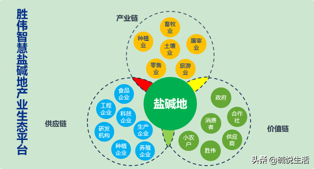 盐碱地养殖经丨提高散养奶羊效益措施