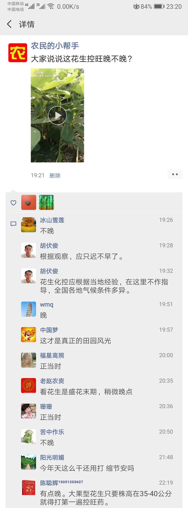 花生控旺最佳时期是什么时候？这2点技巧你会判断吗？