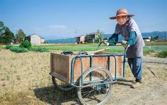 拿丁点耕地养活过亿人口，日本农业为啥那么强？科技创新是关键！