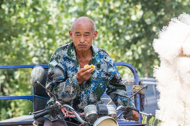 天定视界｜河南乡村振兴：桑叶育肥蚕宝宝，铺出致富“新丝路”