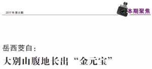 农广天地泥鳅养殖技术(岳西茭白：大别山腹地长出“金元宝”)