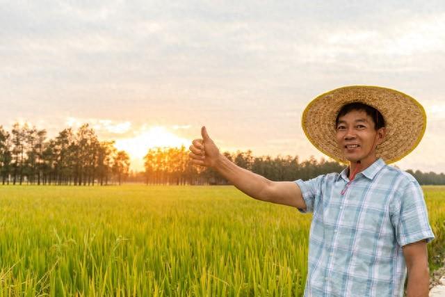 【满满干货】闻所未闻！老乡亲自揭秘：田螺宝宝养殖，挣钱不是梦