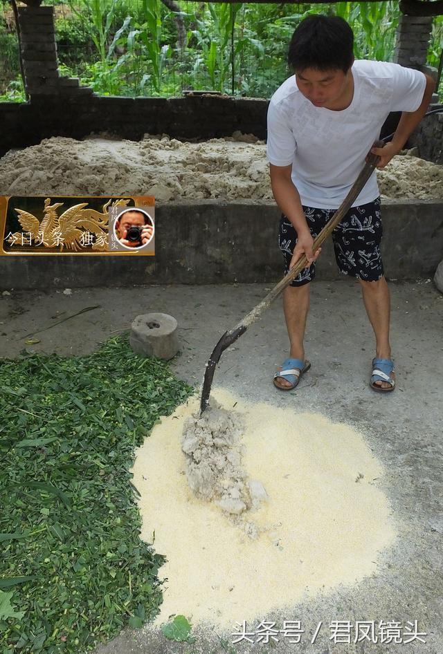 乡村趣事：农民养殖的生态黑猪淘气，一身泥巴！想拱摄影师的相机