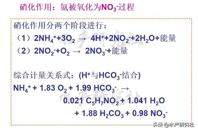 水产养殖中水质污染的核心是什么？