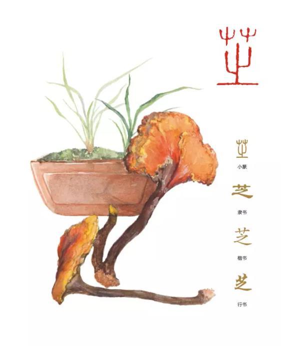 聆听汉字之美：《花草字传》，了解“芝”